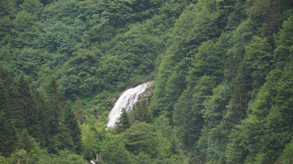 Ayder Resort Hotel Rize Zewnętrze zdjęcie