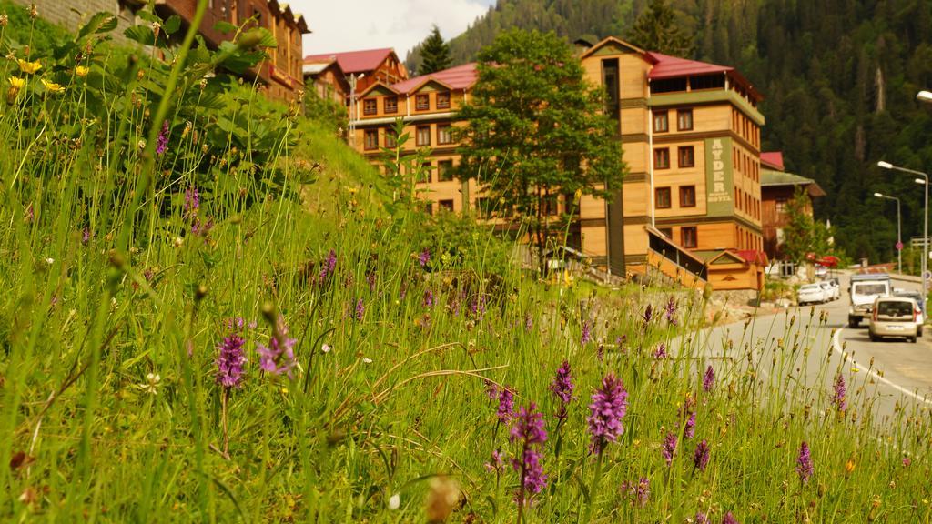 Ayder Resort Hotel Rize Zewnętrze zdjęcie