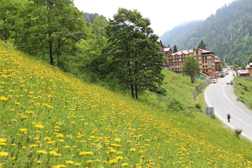 Ayder Resort Hotel Rize Zewnętrze zdjęcie