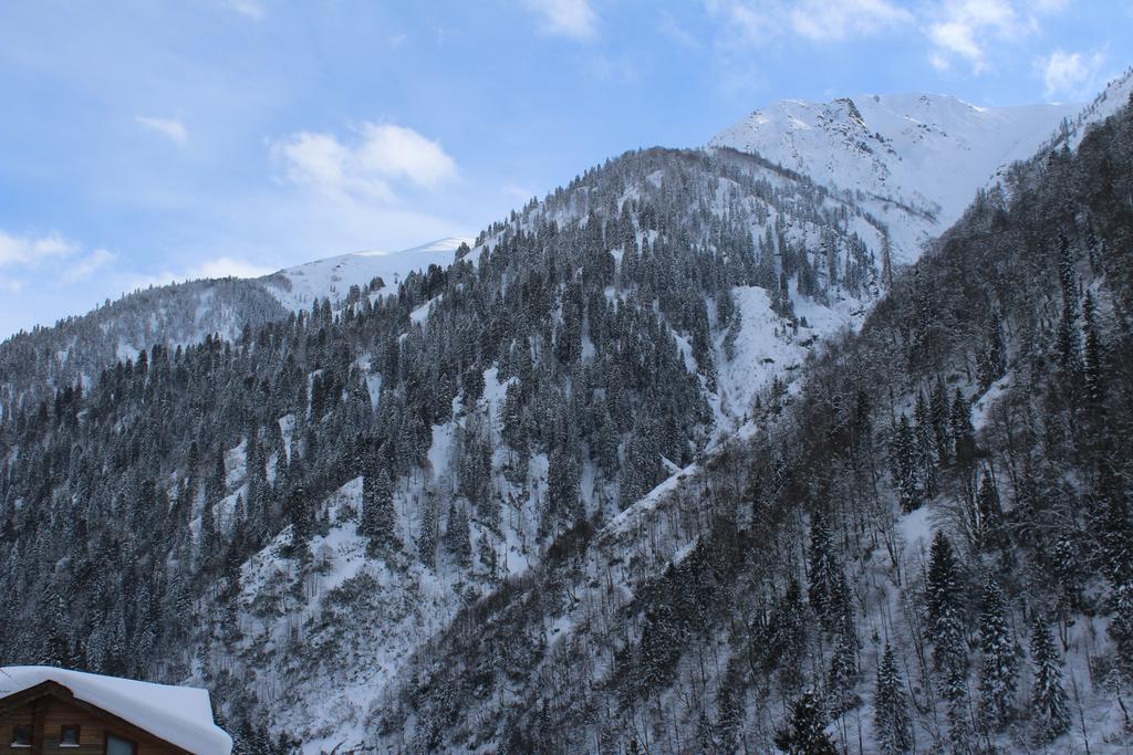 Ayder Resort Hotel Rize Zewnętrze zdjęcie